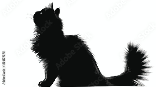 silhouette of fluffy cat on a white background