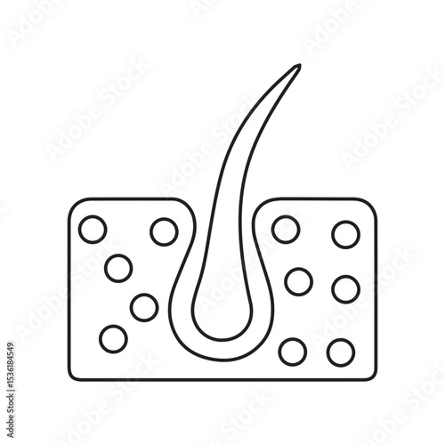 follicle hair line icon