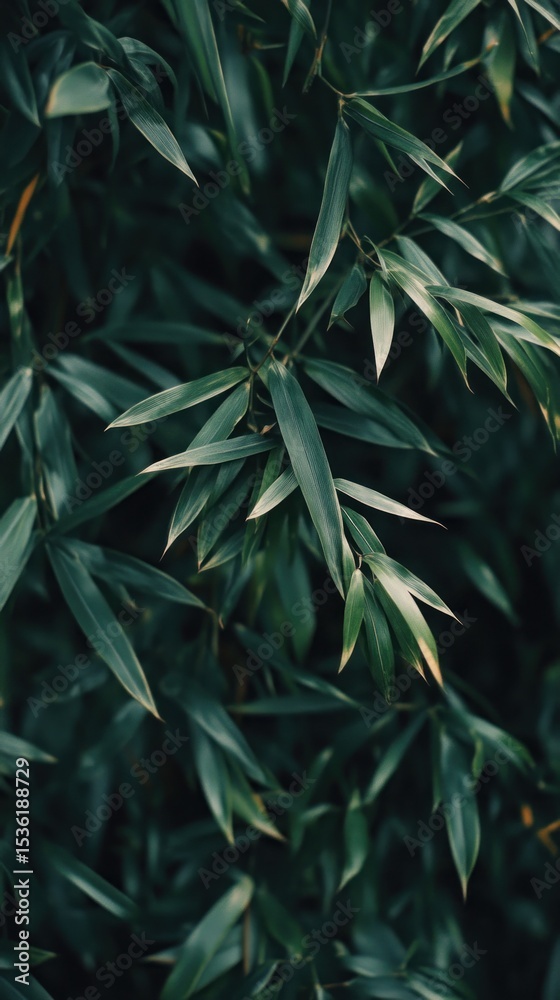 Fototapeta premium Dense Green Leaves Texture