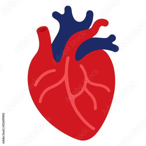 Human heart vector art illustration