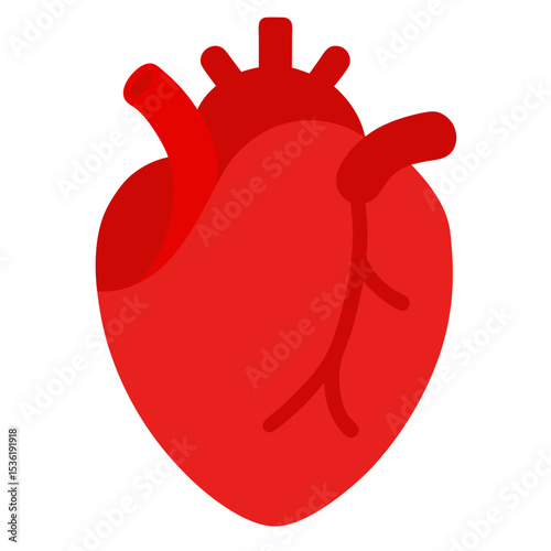 Human heart vector art illustration