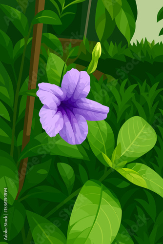 This is a digital illustration of a Ruellia tuberosa, commonly known as minnieroot or popping pod. The flower is purple with trumpet-shaped petals and appears prominently in the foreground surrounded 