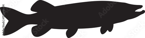 NORTHERN PIKE FISH SILHOUETTE