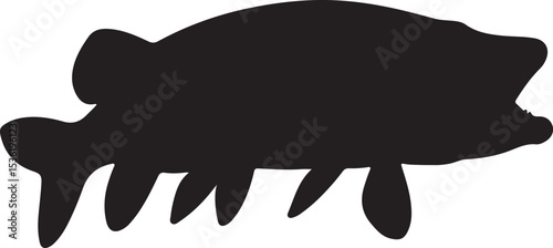 NORTHERN PIKE FISH SILHOUETTE