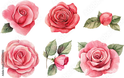 Beautiful Watercolor Pink Roses