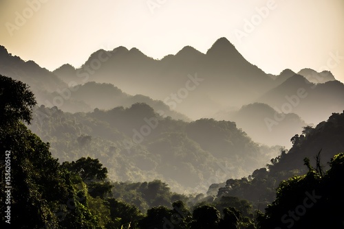 Misty mountains tropical forest tranquil scenery