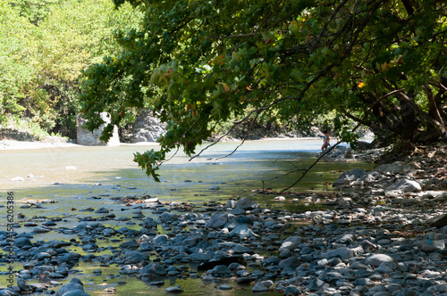 Aoos river with trees from a low angle shot
