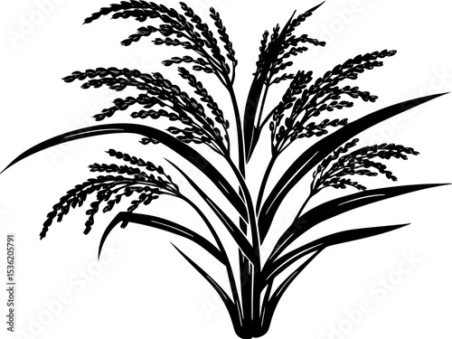 Rice icon silhouette for farming vector, Rice plants silhouette, Paddy plant silhouette design vector art illustration