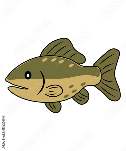 Cartoon Nile Tilapia Fish Illustration
