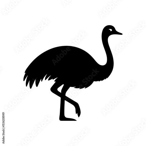 Ostrich silhouette , Ostrich  vector