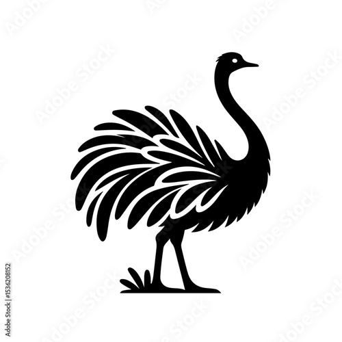 Ostrich silhouette , Ostrich  vector