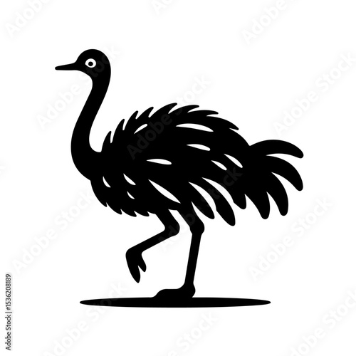 Ostrich silhouette , Ostrich  vector