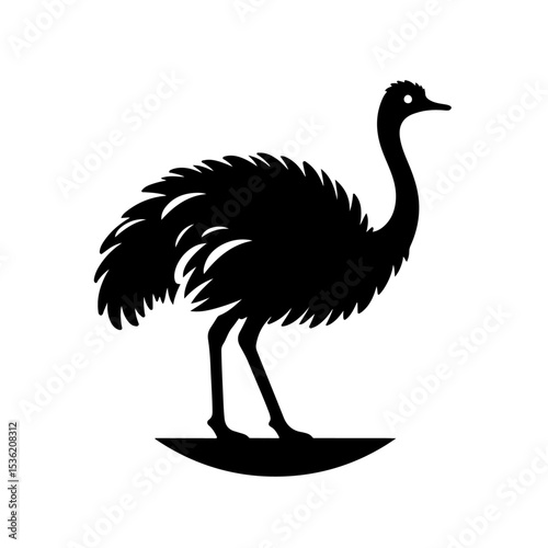 Ostrich silhouette , Ostrich  vector