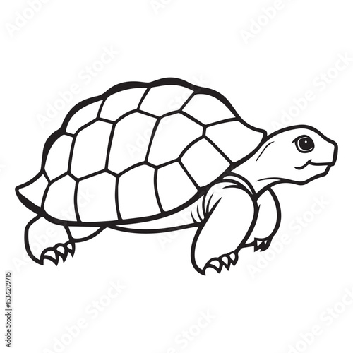 tortoise illustration vector logo sticker silhouette 