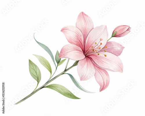 Minimalist watercolor rose flower abstract vector art with soft brush strokes on white background perfect for elegant decorative and floral themes