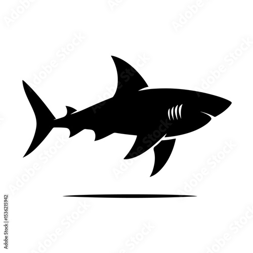 shark silhouette , shark vector