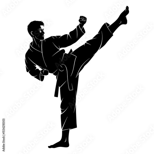 Silhouette of a man performing martial arts on white background