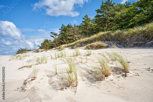 Scenic landscape of forest-covered coast of Baltic sea. Sand dune and beautiful, blue, cloudy sky. 