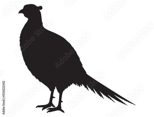 PHEASANT SILHOUETTE