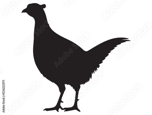PHEASANT SILHOUETTE