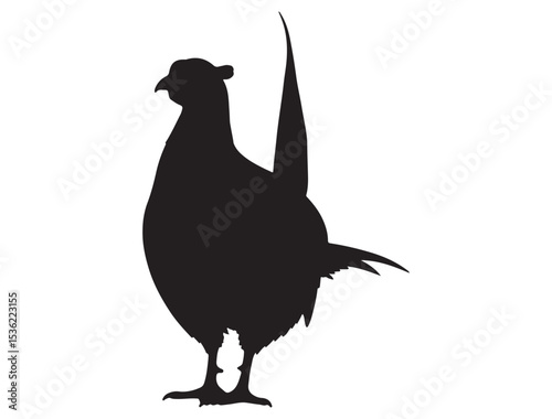 PHEASANT SILHOUETTE