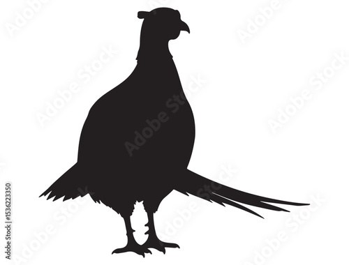 PHEASANT SILHOUETTE