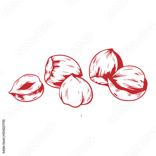 hazelnuts