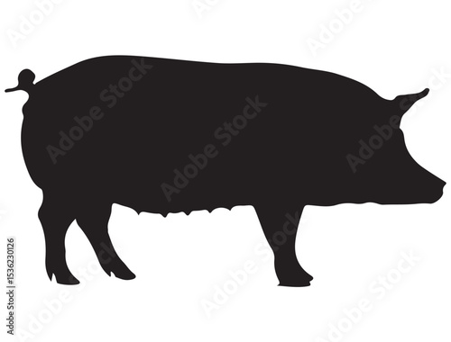 PIG SILHOUETTE