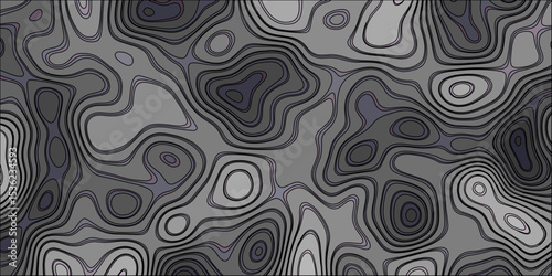 Abstract topographic map illustration featuring grayscale color palette with black contour lines depicting terrain elevation variations