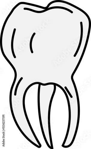 molar tooth outline vector illustration for dental care, hygiene clinic, education poster, or oral health icon set