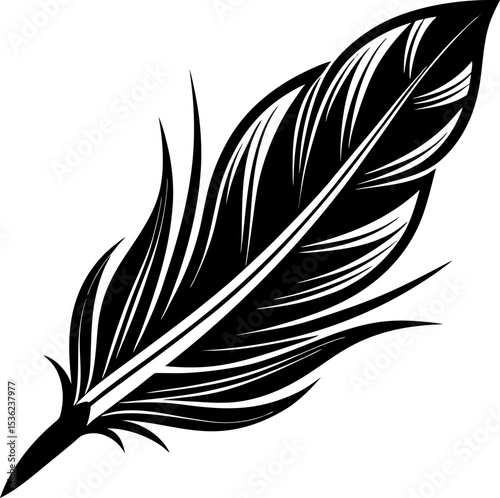 feather on white background