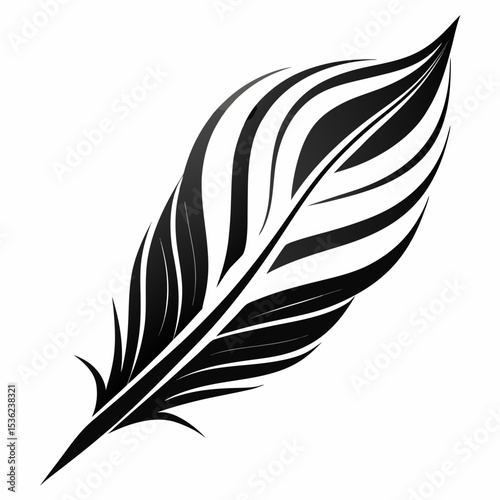 feather vector illustration