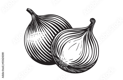 Vintage hand-drawn Carrot illustration in engraving style. Detailed black and white sketch ideal for vegetables organic packaging, botanical prints, and healthy food design.