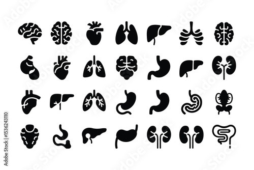 Human organ, anatomy icon set. Vector glyph pictograms of brain, heart, lungs, liver, stomach, intestine, kidney medical, healthcare, and biology concept black silhouette illustration.
