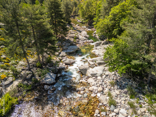 Aerial view of the crystal clear Golo river passing through a pine forest at Albertacce on the Mediterranean island of Corsica