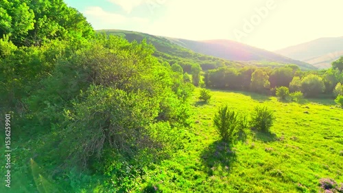 Sunlight over green valley with bushes and trees at mountain foothills. Spring landscape.