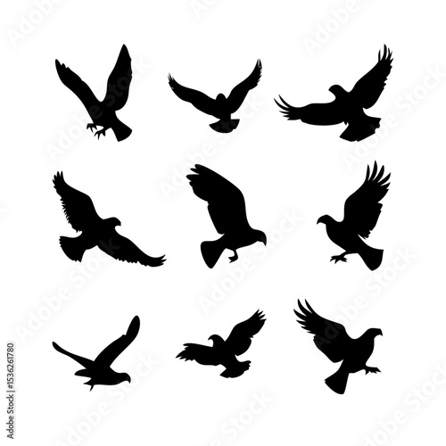 silhouettes of pigeons