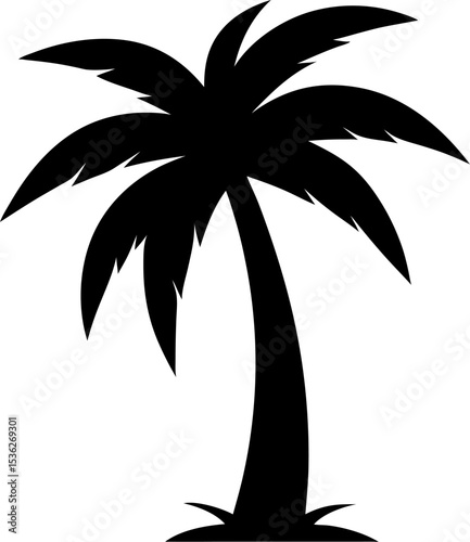 silhouette of palm tree
