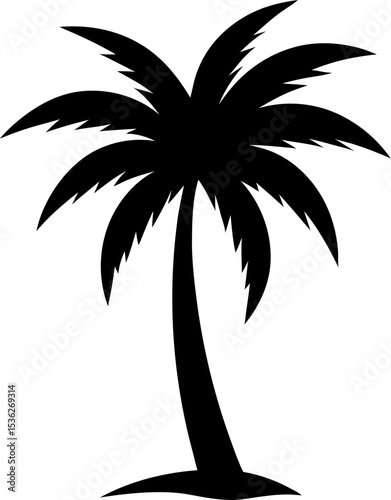 palm tree silhouette