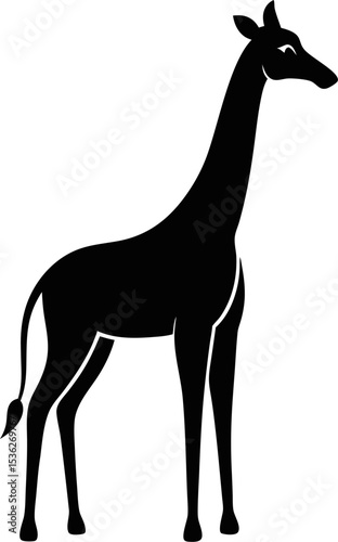 silhouette of a giraffe