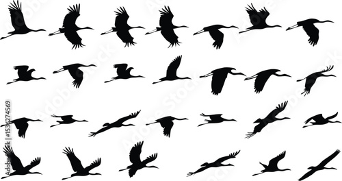 a flock of geese, flying in the sky, black silhouette, minimalist, elegant, graceful, simple, vector illustration
