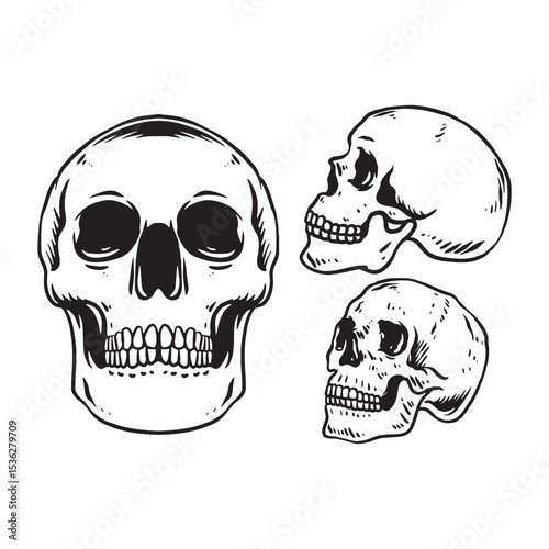 skull on black vector set