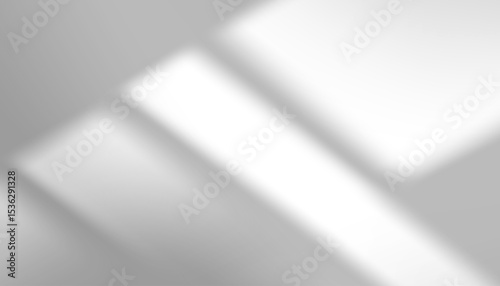Shadow silhouette and soft light on white wall,Abstract background of blurry window shadow frame with sunlight effect,Vector backdrop for multiply on studio background White interior wall
