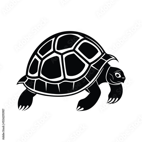 Flat and Minimal tortoises icon vector illustration on white 