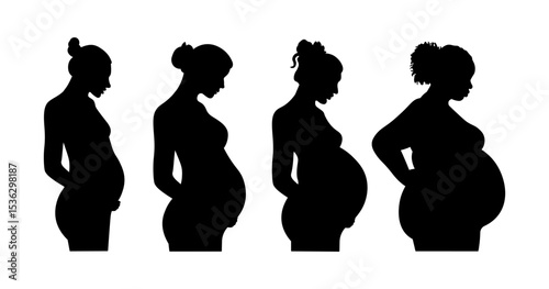 Silhouette women pregnant body shapes collection