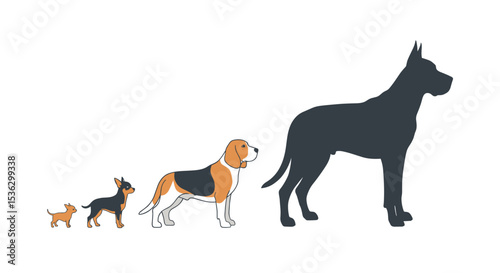 Understanding Dog Breeds Exploring Canine Diversity and the Unique Characteristics of Each Breed