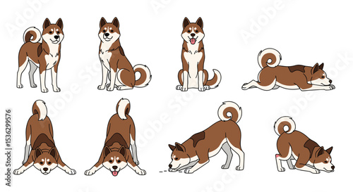 The Comprehensive Guide to Understanding and Caring for Your Japanese Akita Dog Breed
