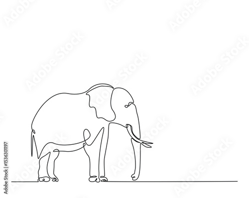 Wild elephant outline drawing illustration. one continuous line drawing of elephant.