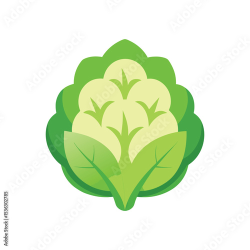 Flat and Minimal Cauliflower leaf green vector illustration isolated on white background