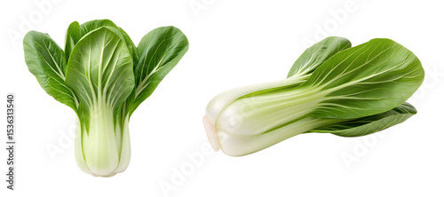 Bok choy isolated on transparent background